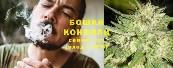 ECSTASY Гусев