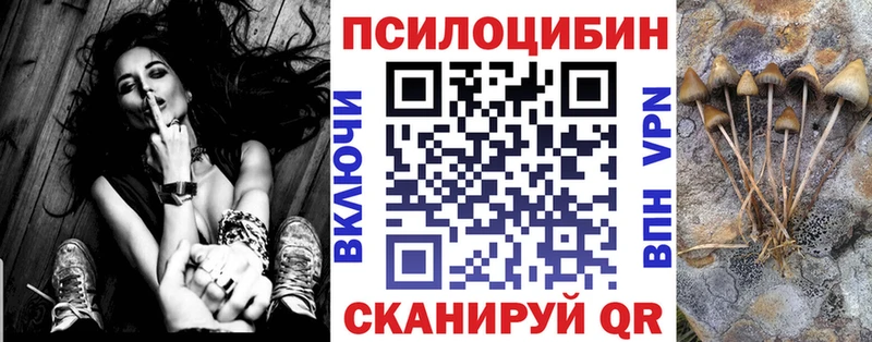 mega маркетплейс  Чкаловск  Галлюциногенные грибы Magic Shrooms  купить  