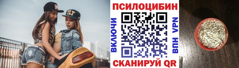 Галлюциногенные грибы Psilocybe Чкаловск