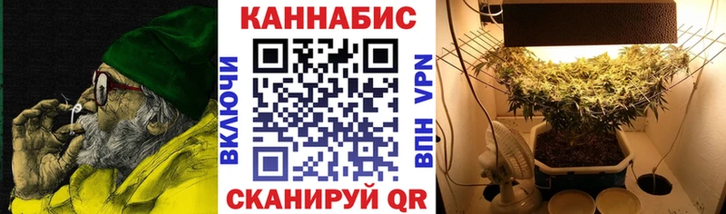 Бошки марихуана VHQ  Чкаловск 